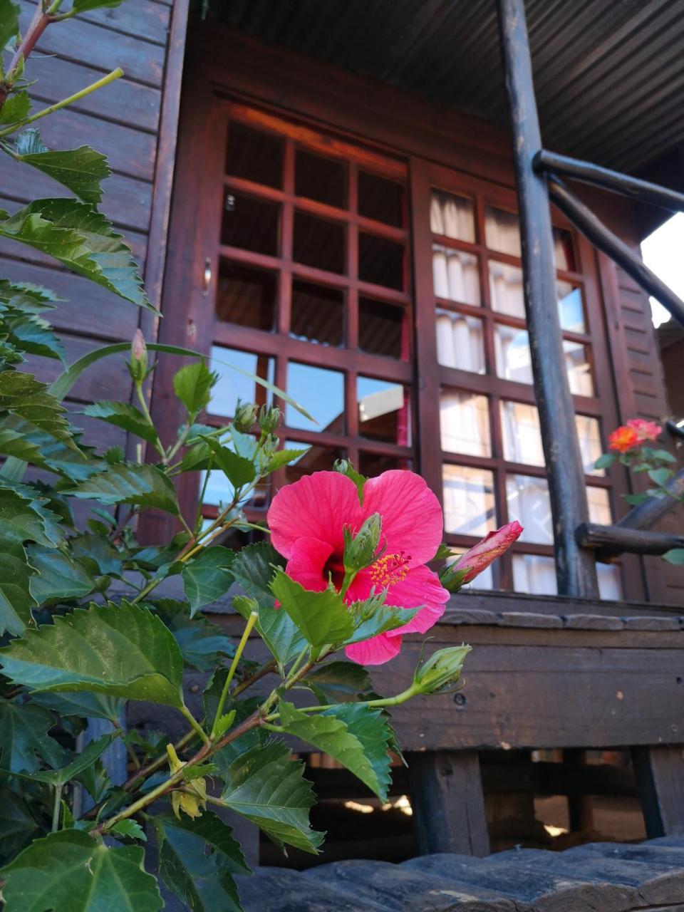The Guesthouse Vanderbijlpark Exterior photo